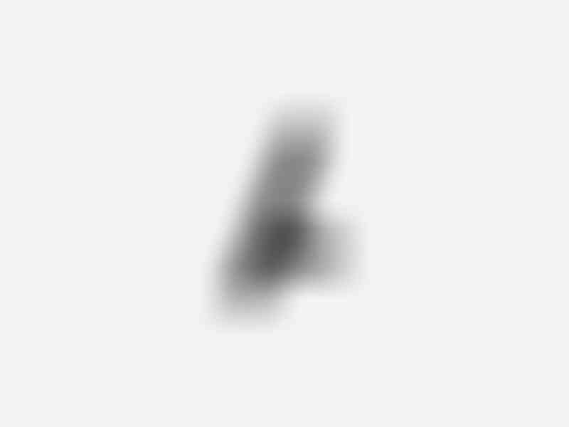 Marks_2048x1536_144dpi_6_1000