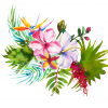 25 Tropics Note Cards Stella - Image 2