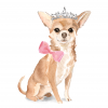 25 Chihuahua Dog Note Cards Ella - Image 3