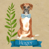 25 Boxer Dog Note Cards Roger - Image 3