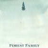 25 Forest Note Cards Forest - Image 3