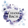 25 Stunning Bouquet Floral Note Cards Chana - Image 2