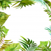 25 Tropics Note Cards Brooks - Image 3