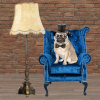 25 Pug Dog Note Cards Liam - Image 3