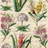 25 Stunning Botanical Note Cards Peretz - Image 3