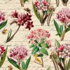 25 Stunning Botanical Note Cards Mizrachi - Image 3