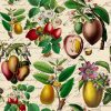 25 Stunning Botanical Note Cards Barneaux - Image 3