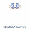 25 Parasol Monkeys Note Cards Charley - Image 4