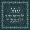 Yair Paisley Bar Mitzvah Design - Image 3