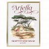 Safari Custom Pasuk Wall Art Ariella - Image 3