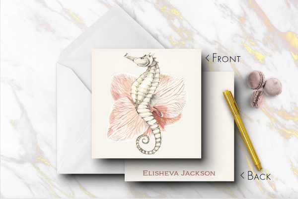 25 Marine Note Cards Elisheva