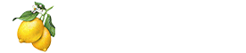 Hadar Design